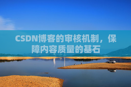 CSDN博客的审核机制,保障内容质量的基石